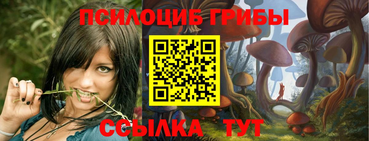 Ишимбай  Псилоцибиновые грибы GOLDEN TEACHER  Вход с VPN 