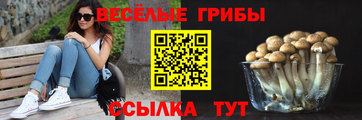 Псилоцибиновые грибы прущие грибы Ишимбай